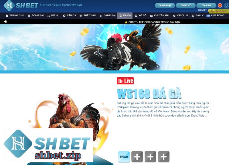 Đá Gà Tại SHBET