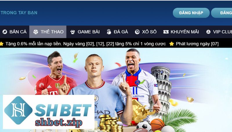 Thể Thao SHBET